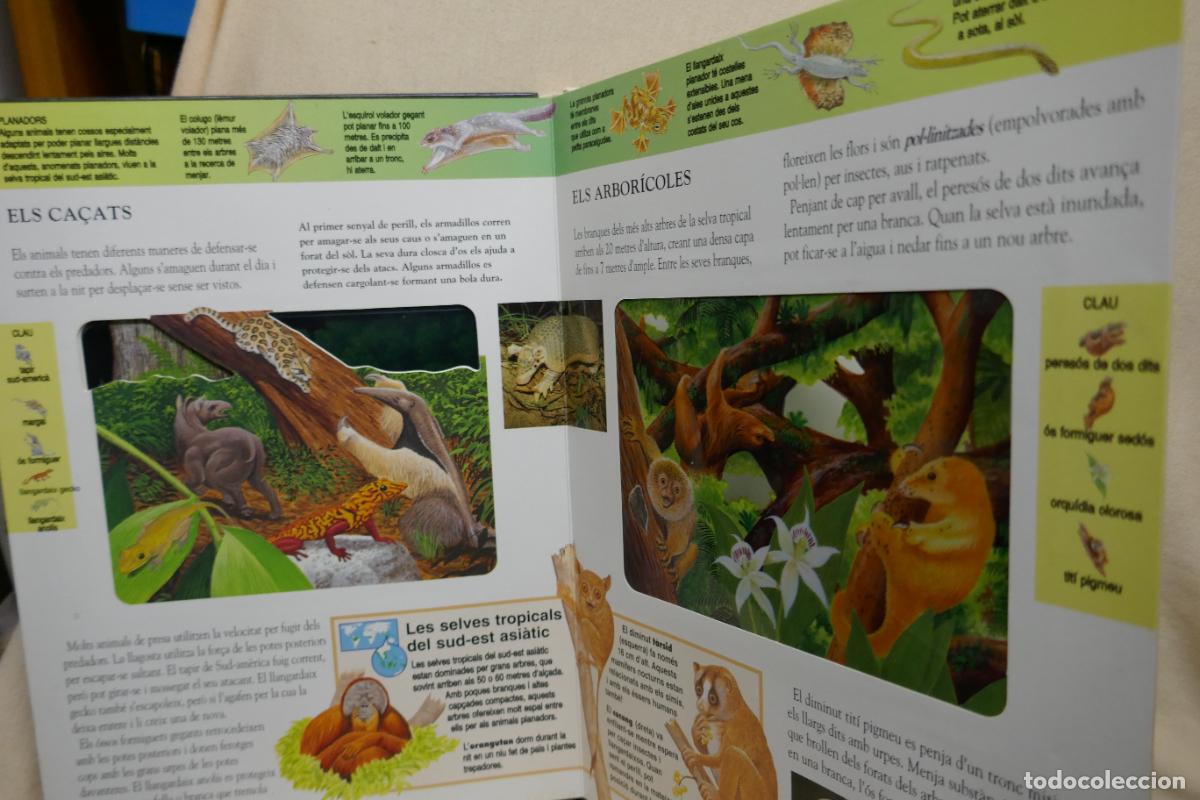 Libros de segunda mano: Animals Nocturns - La vida de nit a la selva tropical (en Catalan) - Foto 11