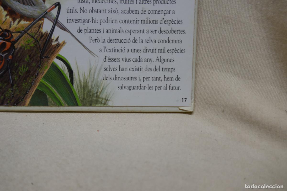 Libros de segunda mano: Animals Nocturns - La vida de nit a la selva tropical (en Catalan) - Foto 13