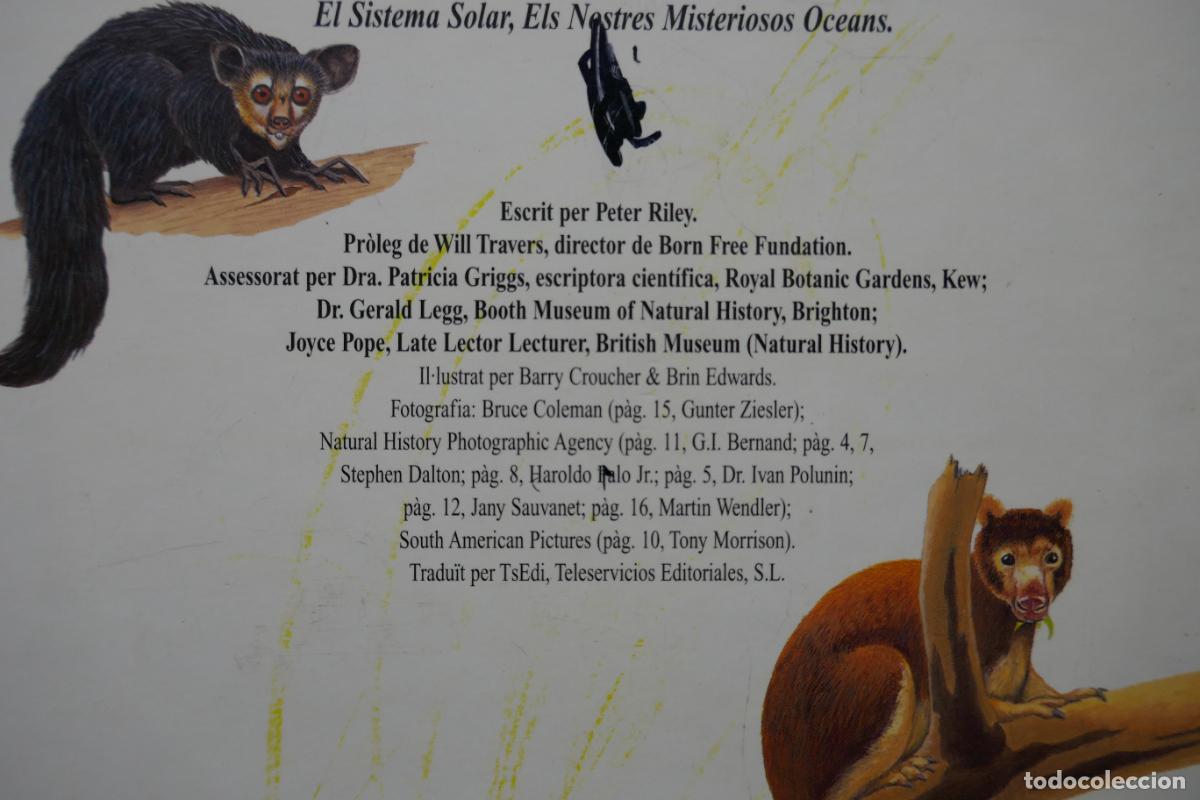 Libros de segunda mano: Animals Nocturns - La vida de nit a la selva tropical (en Catalan) - Foto 16