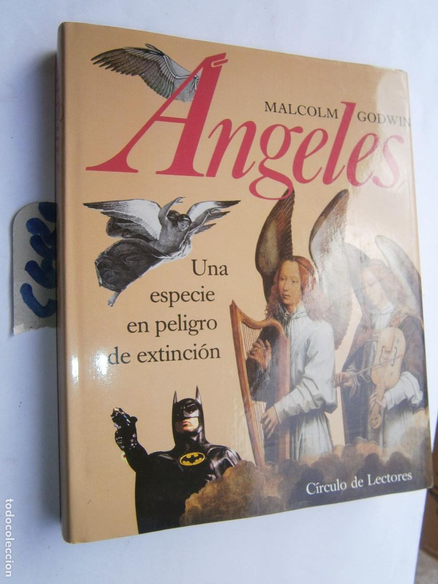 Libros de segunda mano: ANGELES, UNA ESPECIE EN PELIGRO DE ESTINCION - Foto 1