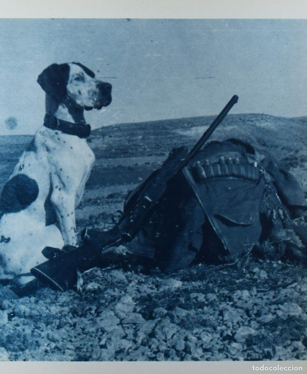 Libros de segunda mano: LA CAZA DE LA PERDIZ CON PERRO - Carlos GRACIA MONTERDE - Foto 4
