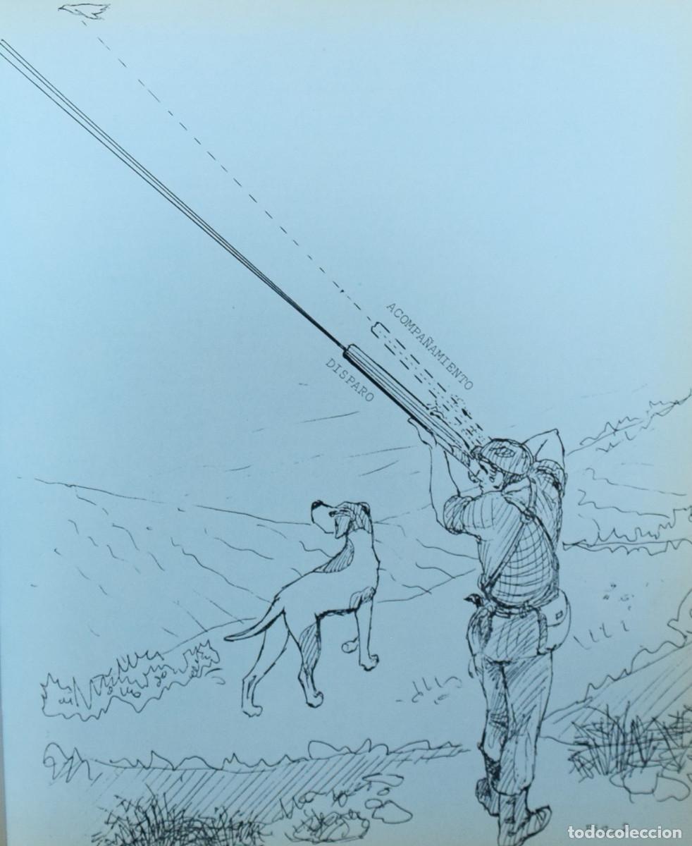 Libros de segunda mano: LA CAZA DE LA PERDIZ CON PERRO - Carlos GRACIA MONTERDE - Foto 5