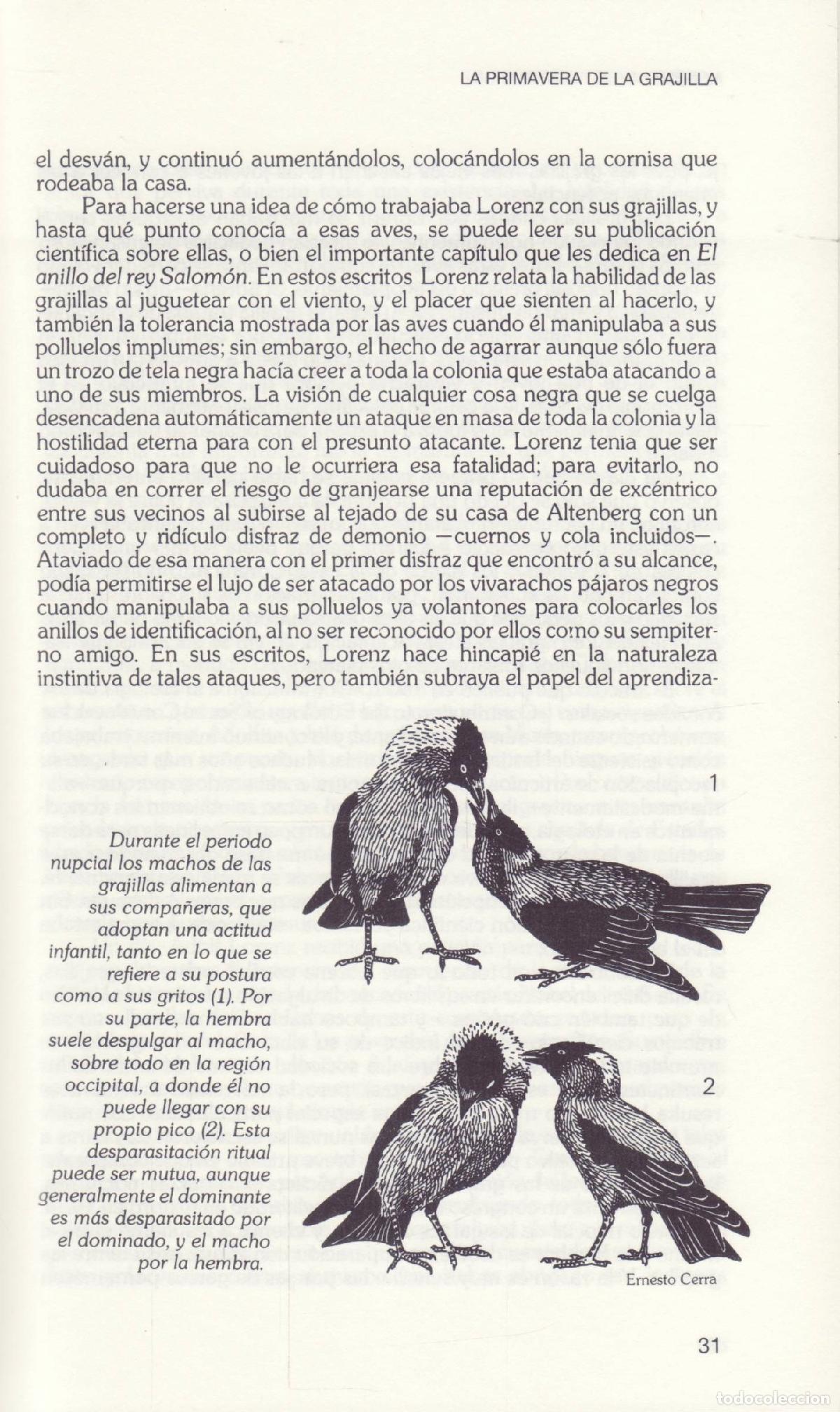 Libros de segunda mano: Lorenz - Nisbett, Alec - Foto 2