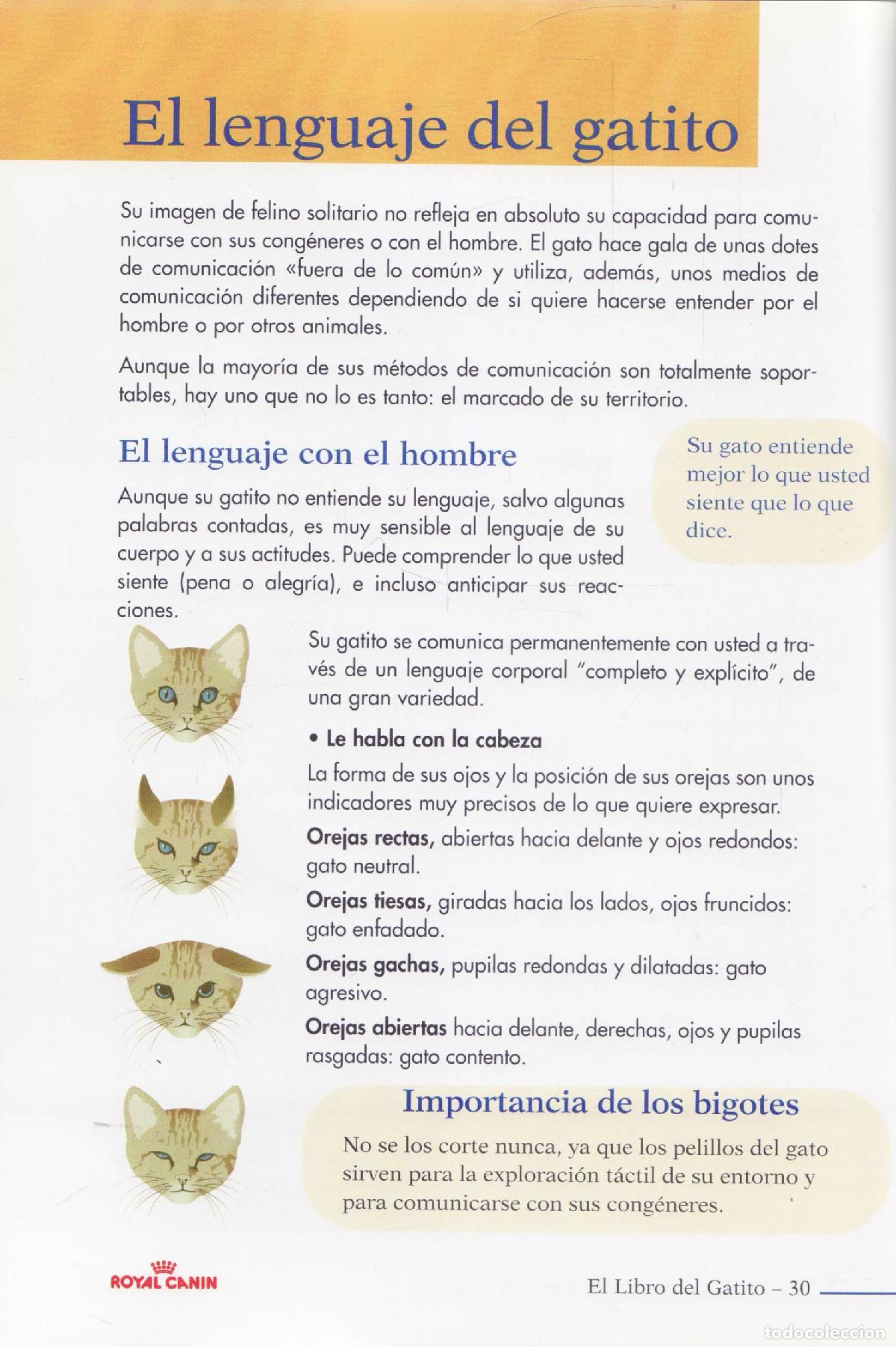 Libros de segunda mano: El libro del gatito - Foto 2