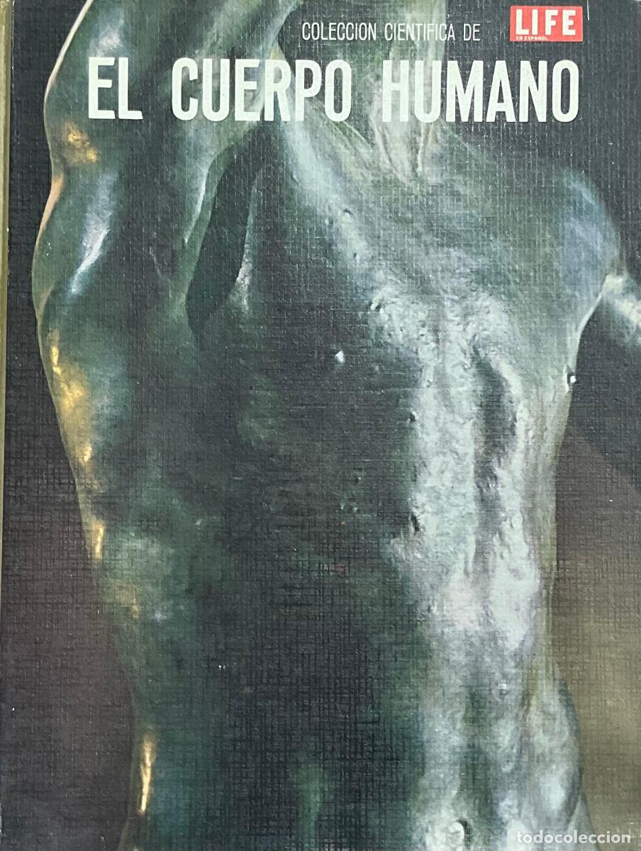 Libros de segunda mano: FT0665. Libro: El cuerpo humano. Colecci&oacute;n cientifica Life. Autor: Alan E. Nourse - Foto 1