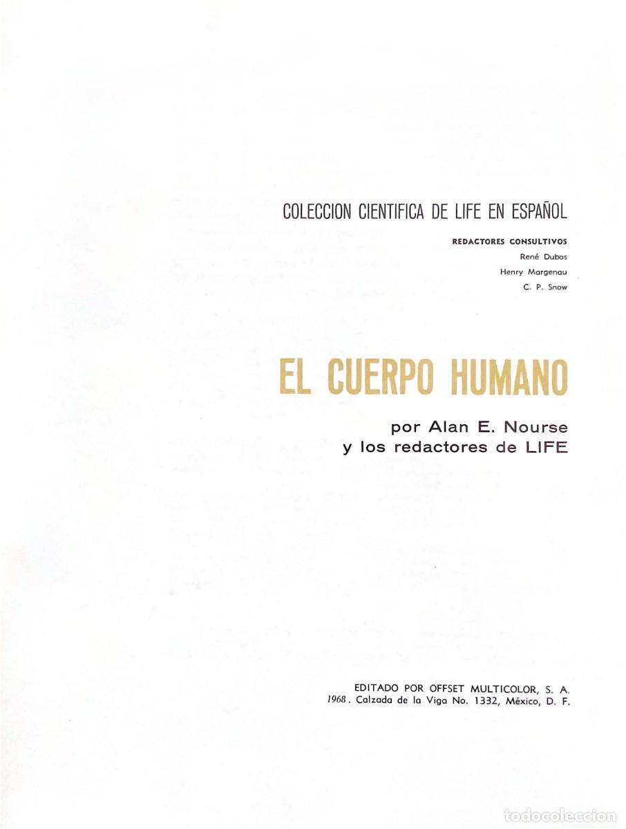 Libros de segunda mano: FT0665. Libro: El cuerpo humano. Colecci&oacute;n cientifica Life. Autor: Alan E. Nourse - Foto 2