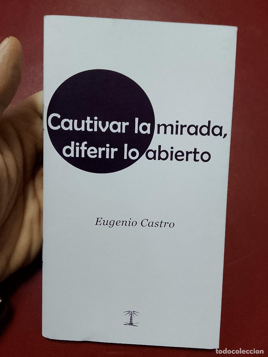 Libros de segunda mano: Eugenio Castro: Cautivar la mirada, diferir lo abierto - Foto 1