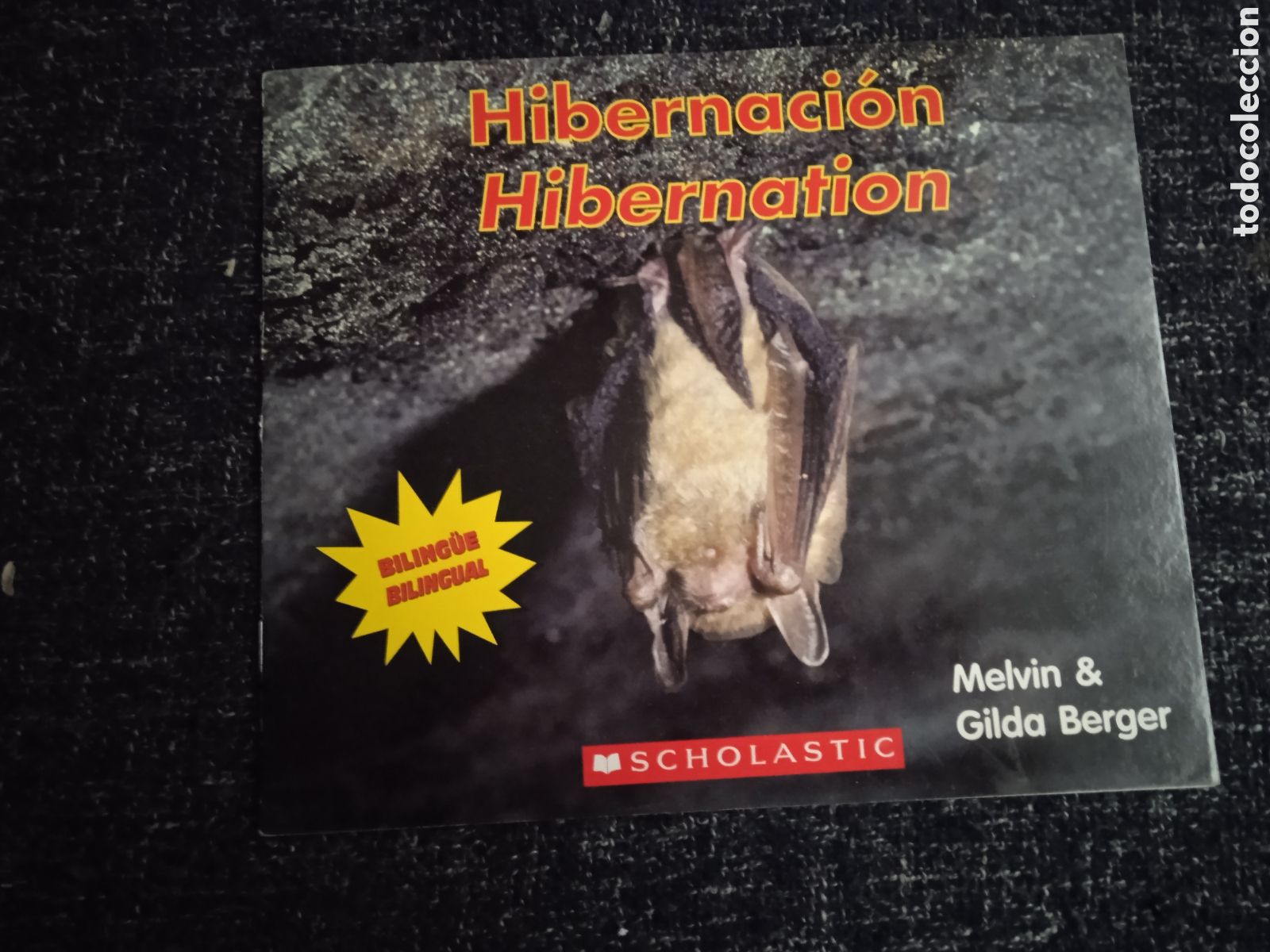 Libros de segunda mano: HIBERNACION - HIBERNATION - BILINGUE - INFANTIL - Foto 1