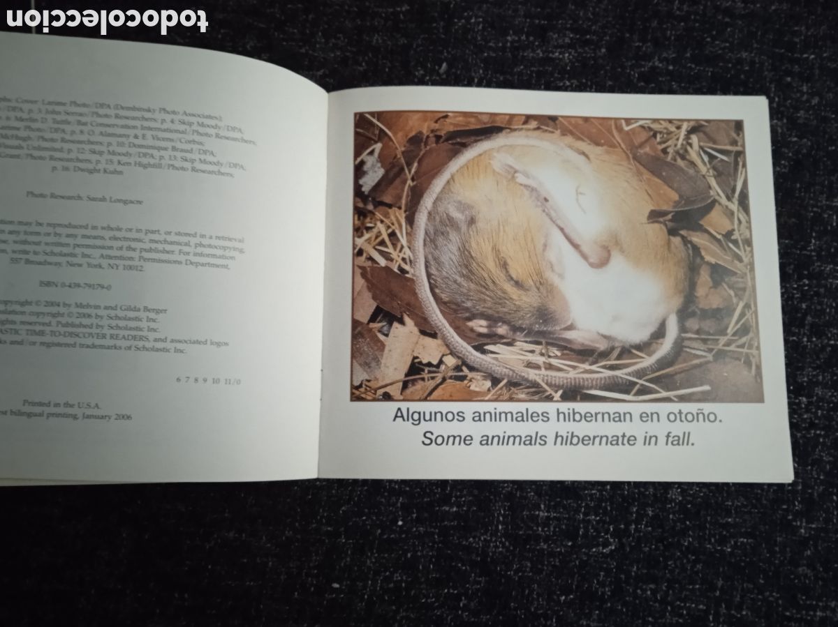 Libros de segunda mano: HIBERNACION - HIBERNATION - BILINGUE - INFANTIL - Foto 2