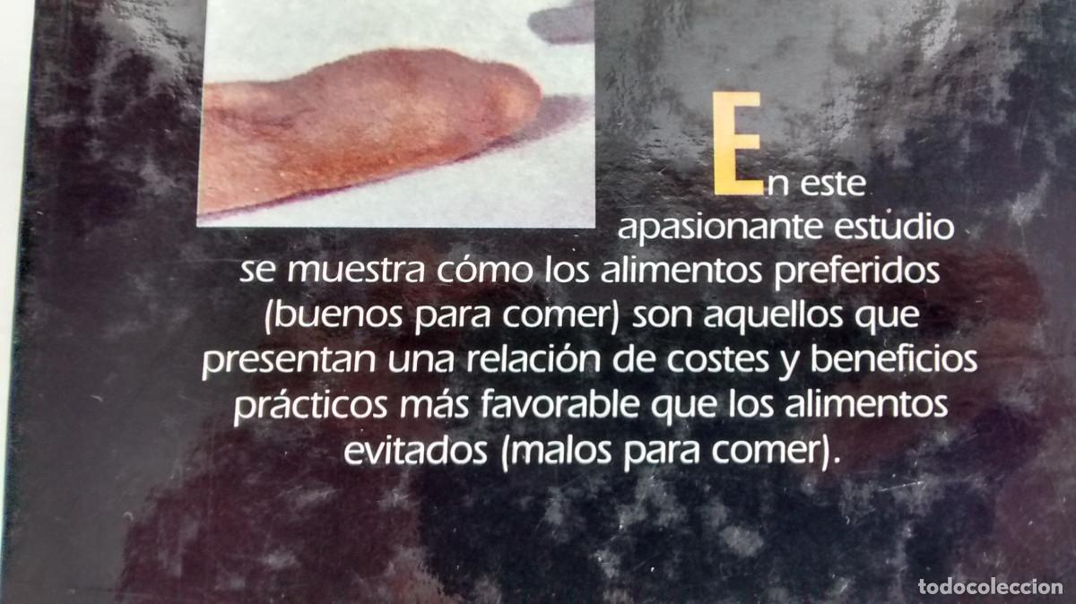 Libros de segunda mano: Bueno para comer - Marvin Harris - Foto 3