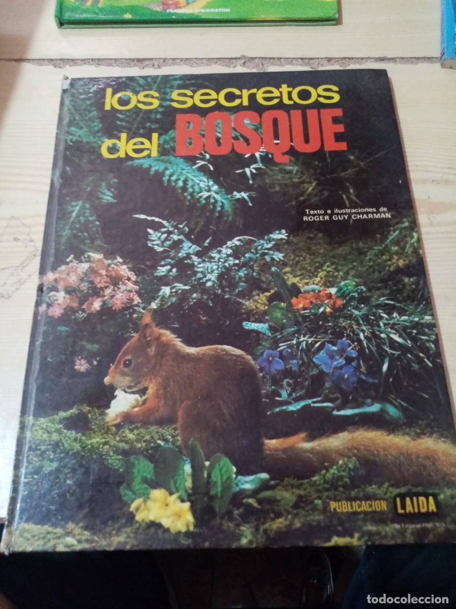 Libros de segunda mano: LOS SECRETOS DEL BOSQUE. TEXTO E ILUSTRACIONES DE ROGER GUY CHARMAN. EST25B3 - Foto 1
