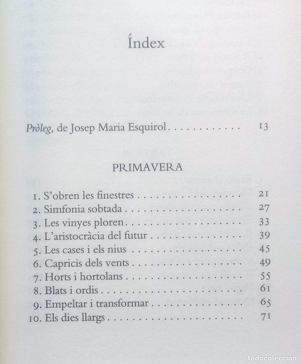 Libros de segunda mano: EL QUE LA TERRA MHA DONAT - LLU&Iacute;S FOIX -2017 - Foto 3