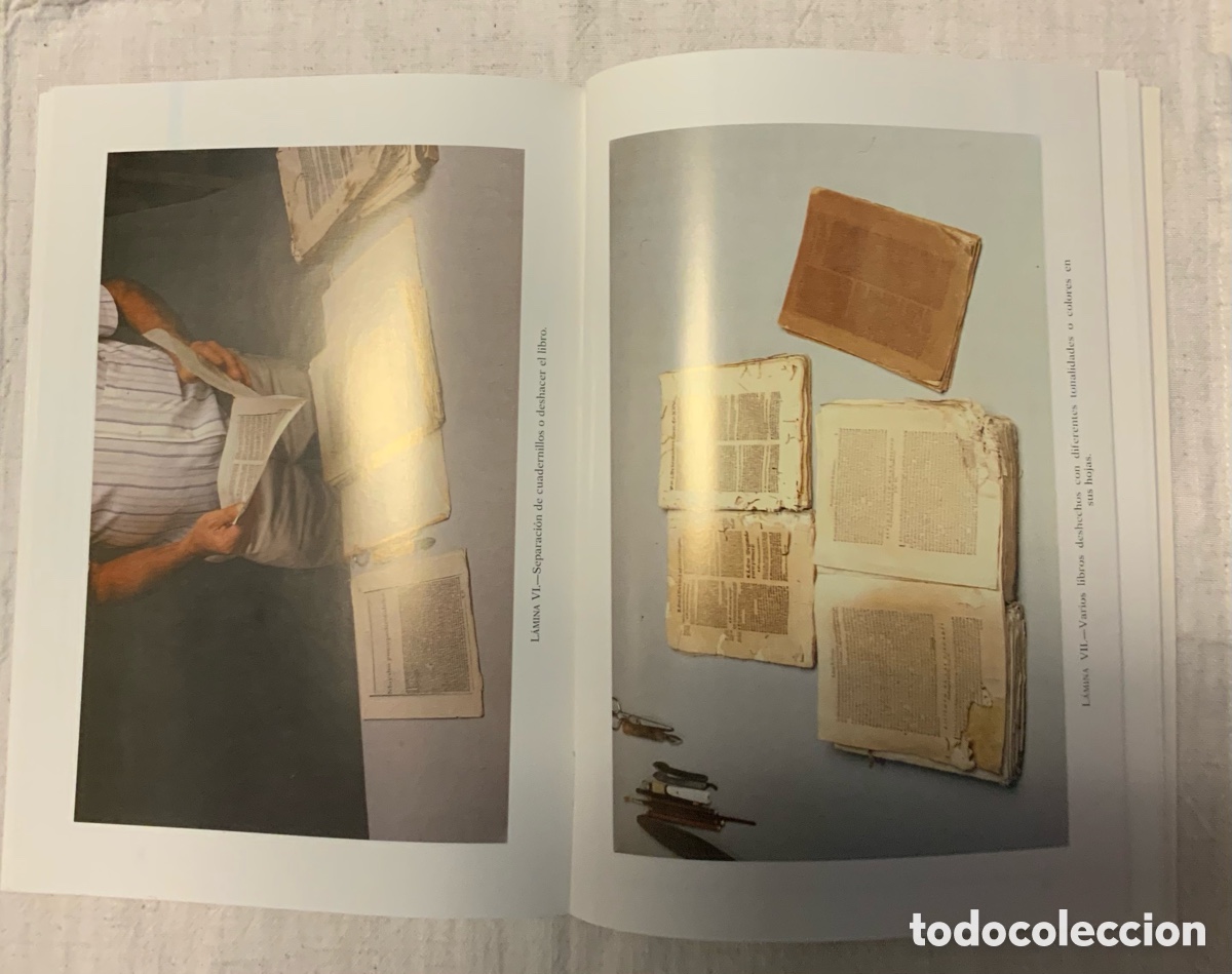 Libros de segunda mano: L&aacute;minas para el manual de restauraci&oacute;n. Pablo Ant&oacute;n - Foto 5