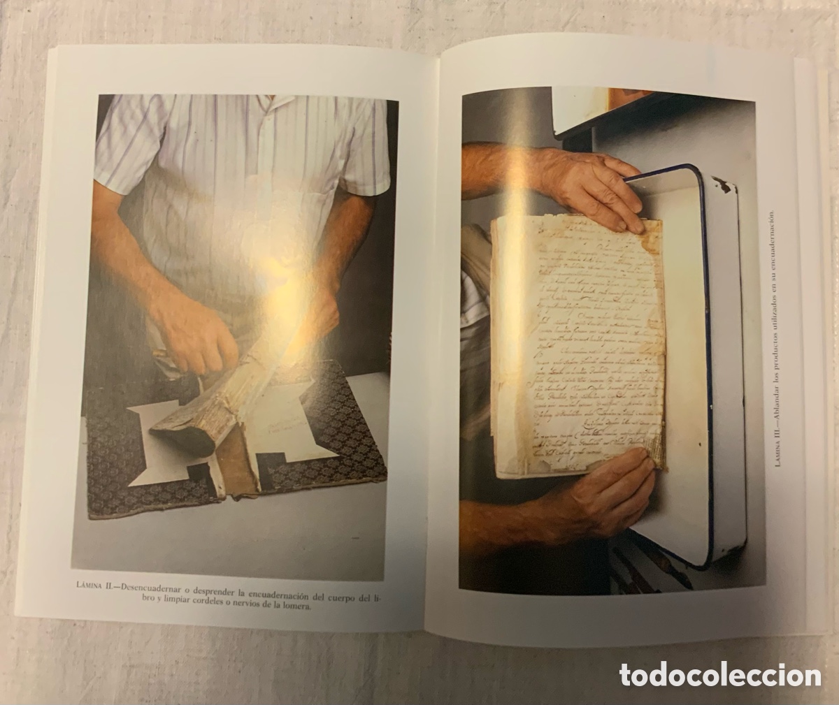 Libros de segunda mano: L&aacute;minas para el manual de restauraci&oacute;n. Pablo Ant&oacute;n - Foto 6
