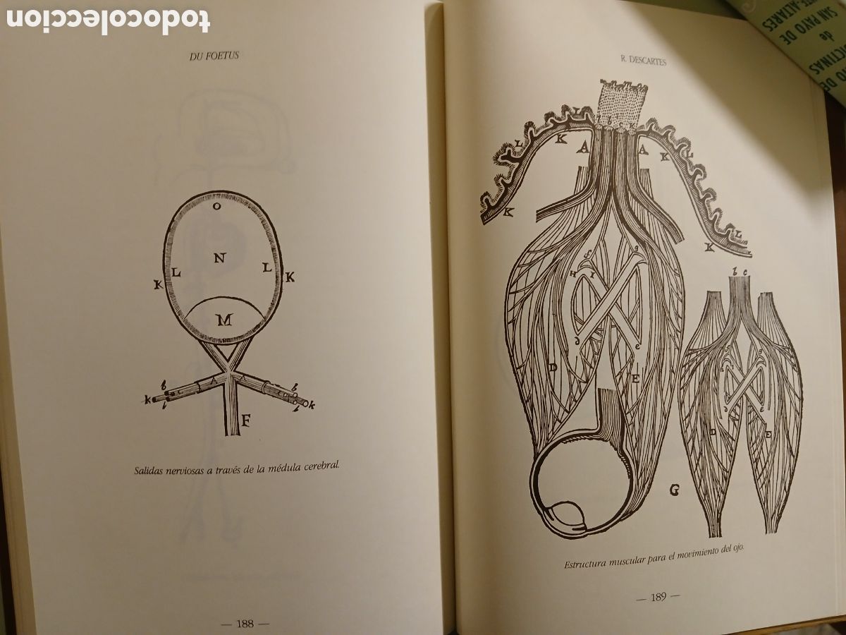 Libros de segunda mano: Du Foetus. R. Descartes - Foto 12