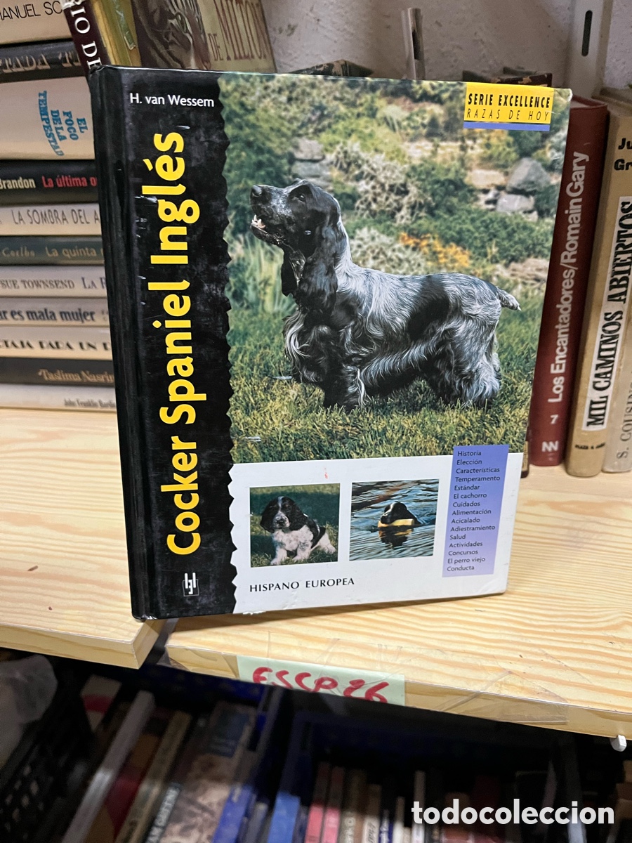 Libros de segunda mano: Esco26 cocker Spaniel Ingl&eacute;s - perro - H. van Wessem - Foto 1