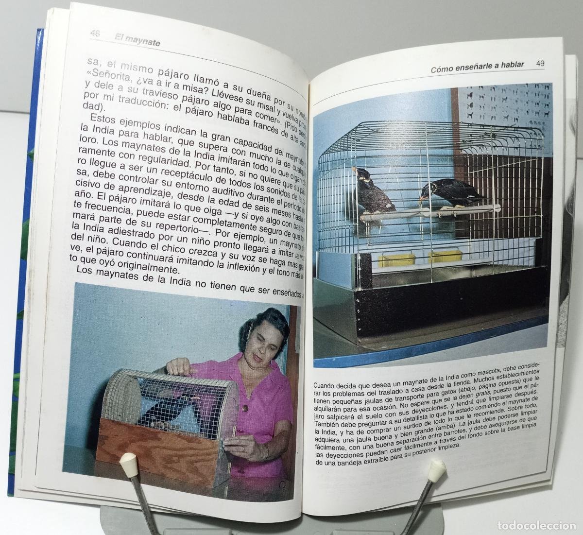 Libros de segunda mano: El maynate. El pajaro parlante - Weil, Martin - Foto 3