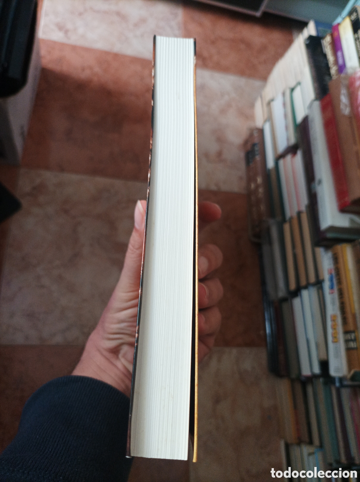 Libros de segunda mano: Cuando los dioses nac&iacute;an en Extremadura Rafael Garc&iacute;a Serrano - Foto 7