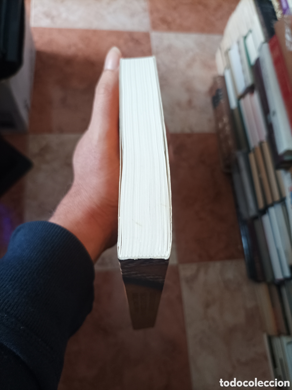 Libros de segunda mano: Cuando los dioses nac&iacute;an en Extremadura Rafael Garc&iacute;a Serrano - Foto 8