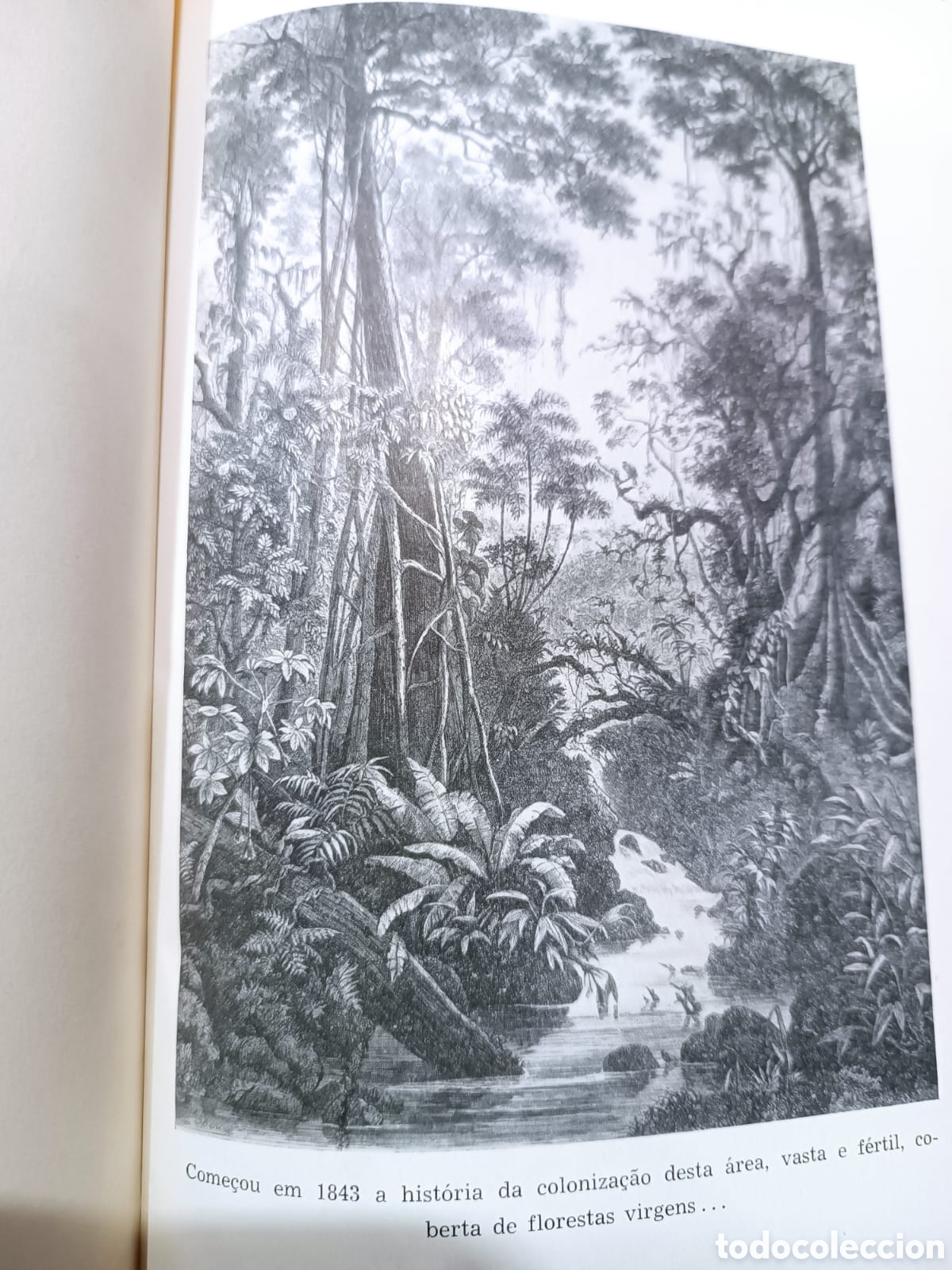 Libros de segunda mano: Historia de Joinville, Carlos Ficker - Foto 3