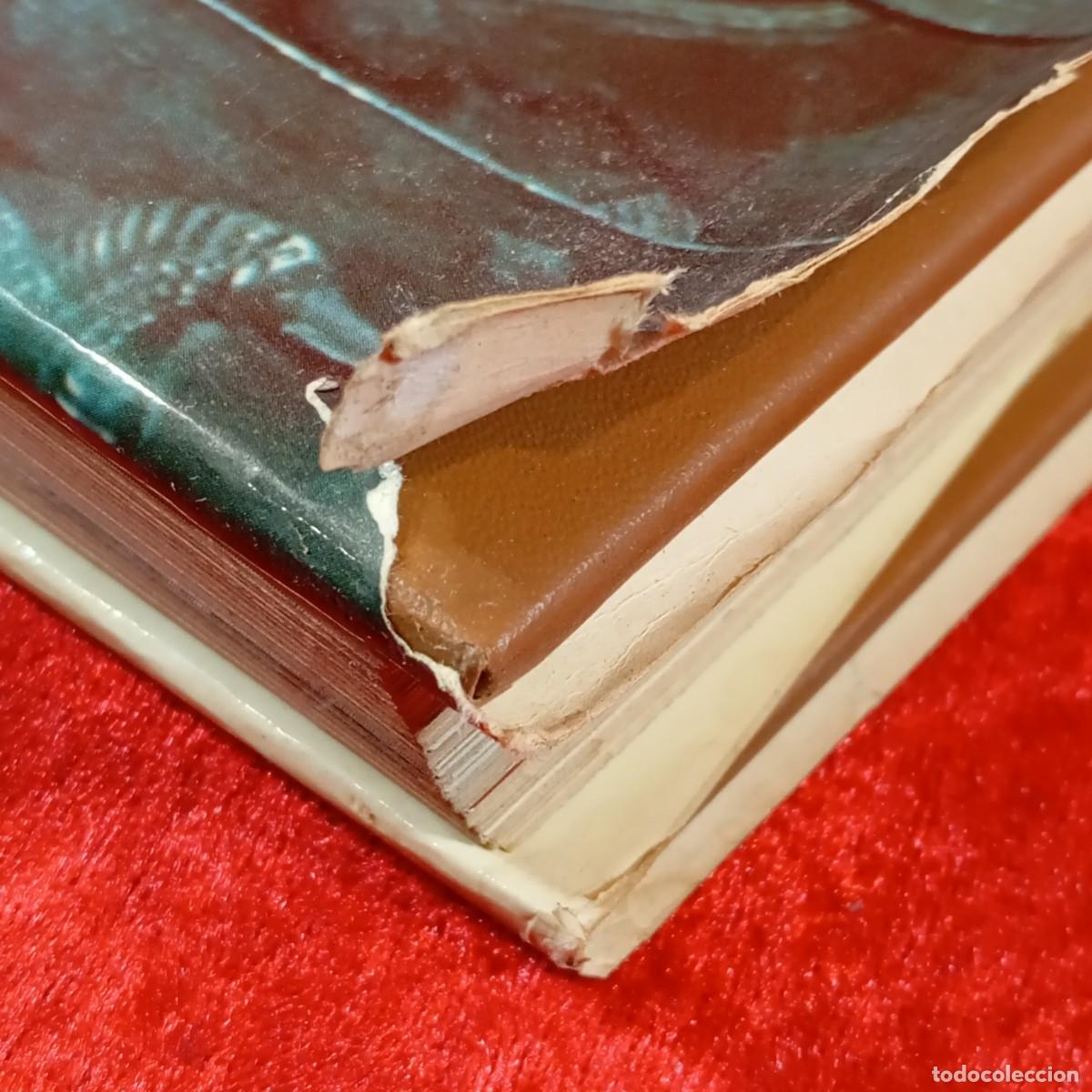 Libros de segunda mano: MITOLOG&Iacute;AS DE LAS ESTEPAS, DE LOS BOSQUES Y DE LAS ISLAS - PLANETA - 1973 / 409 - Foto 5