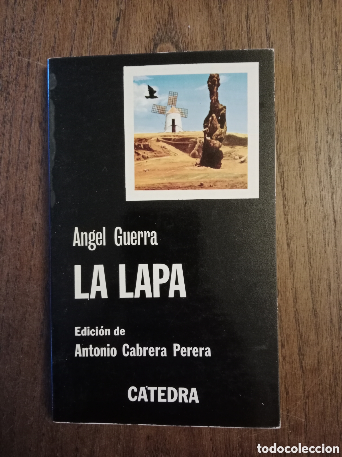 Libros de segunda mano: Libro la lapa &aacute;ngel guerra - Foto 1