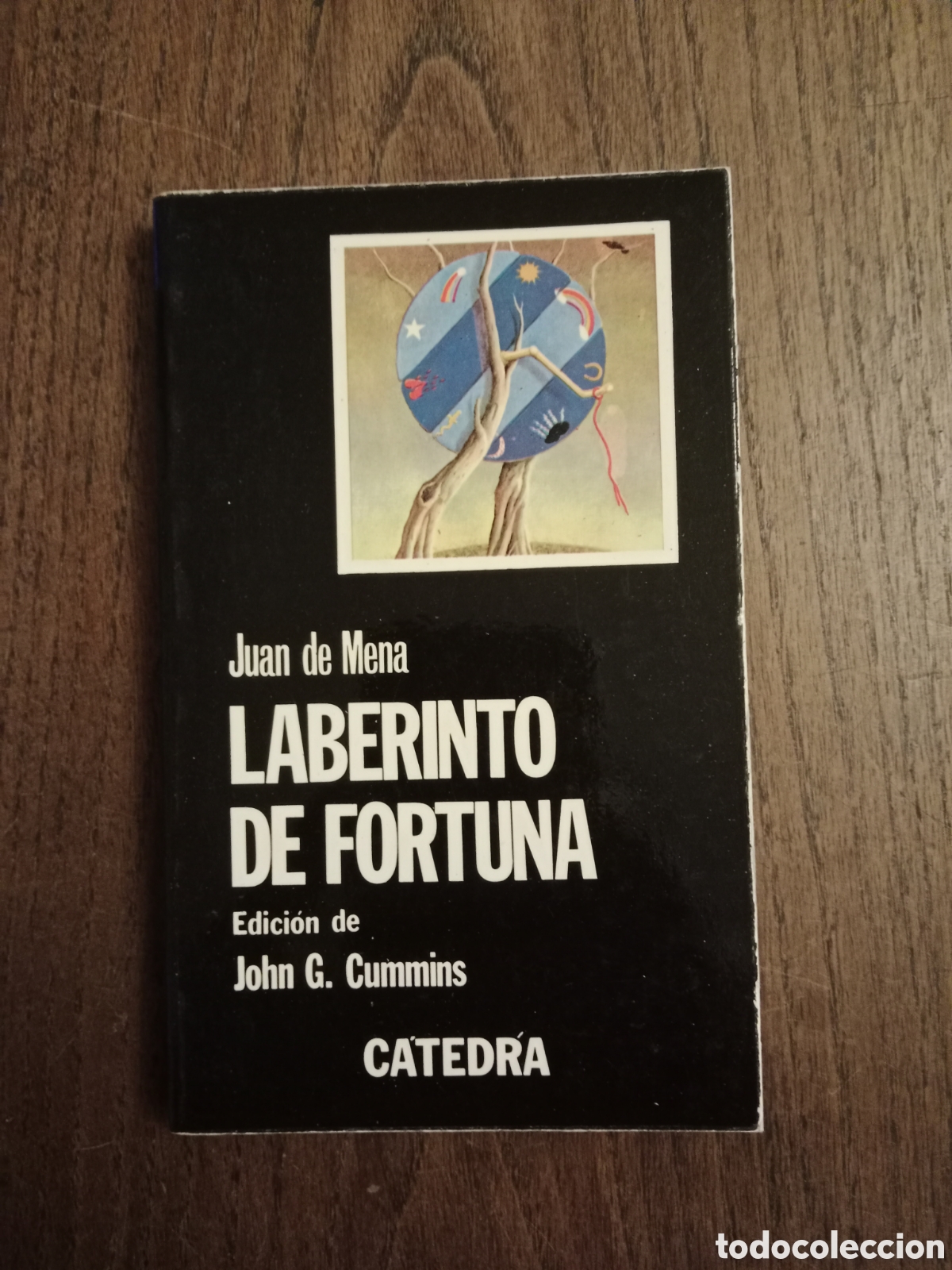 Libros de segunda mano: Libro laberinto de fortuna de juan de mena - Foto 1