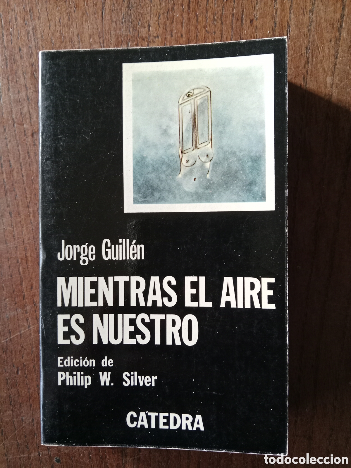 Libros de segunda mano: Libro mientras el aire es nuestro de jorge guillen - Foto 1