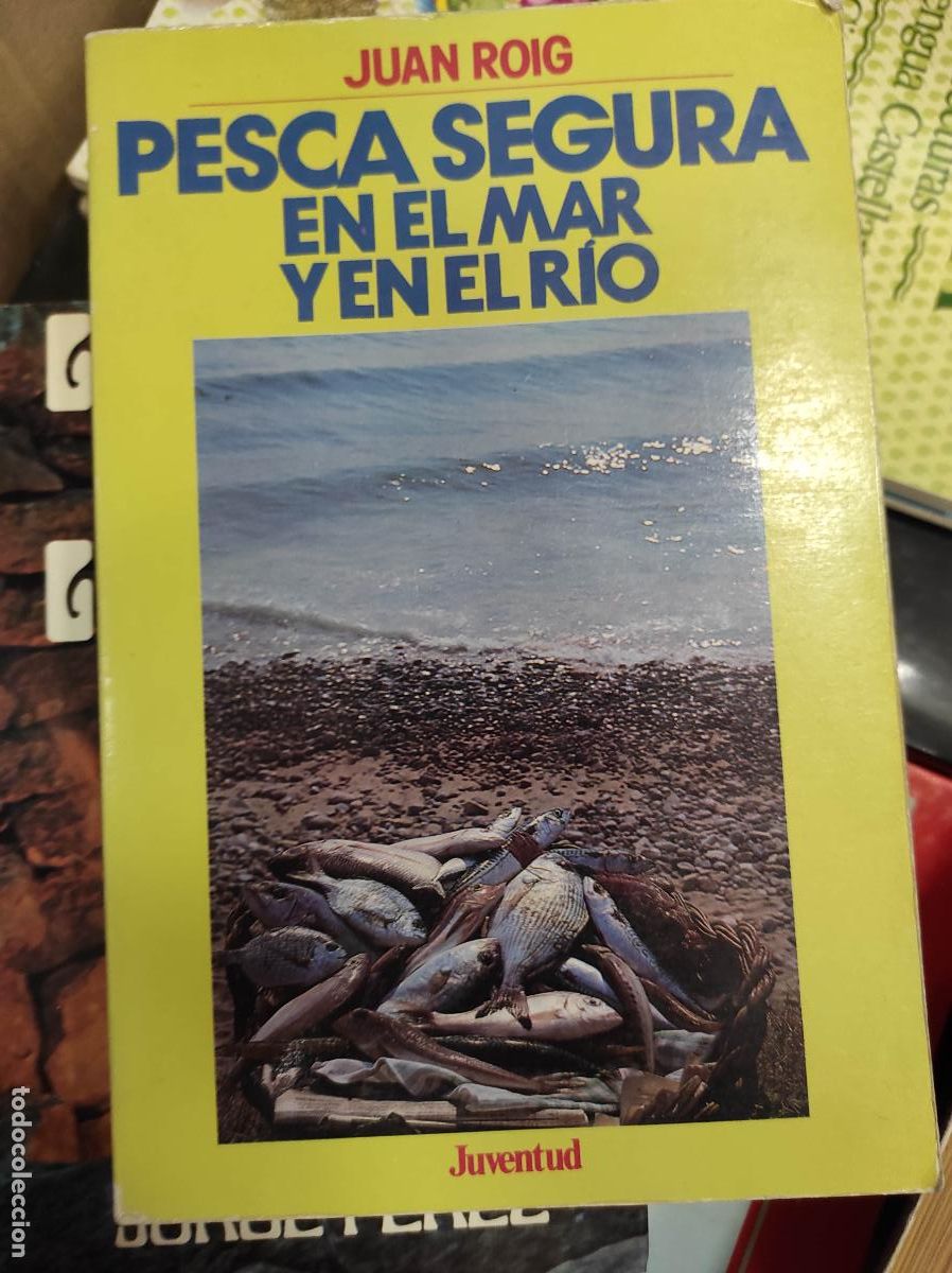 Libros de segunda mano: Pesca segura en el mar y en el r&iacute;o.- Roig, Juan - Foto 1