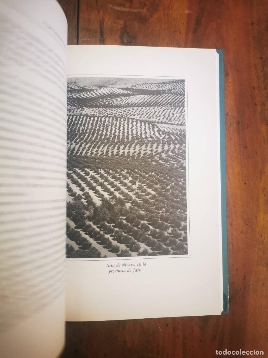 Libros de segunda mano: LA&Iacute;N ENTRALGO, Pedro. A qu&eacute; llamamos Espa&ntilde;a - Foto 6