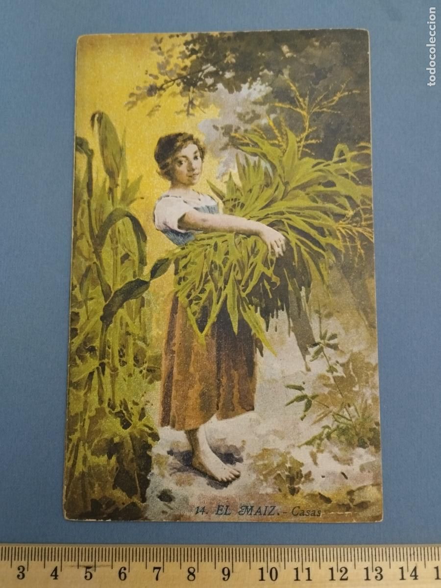 Second hand books: BIBLIOTECA MIRALLES. SERIE AGRICULTURA Y GANADERIA N&ordm; 14. MAIZ