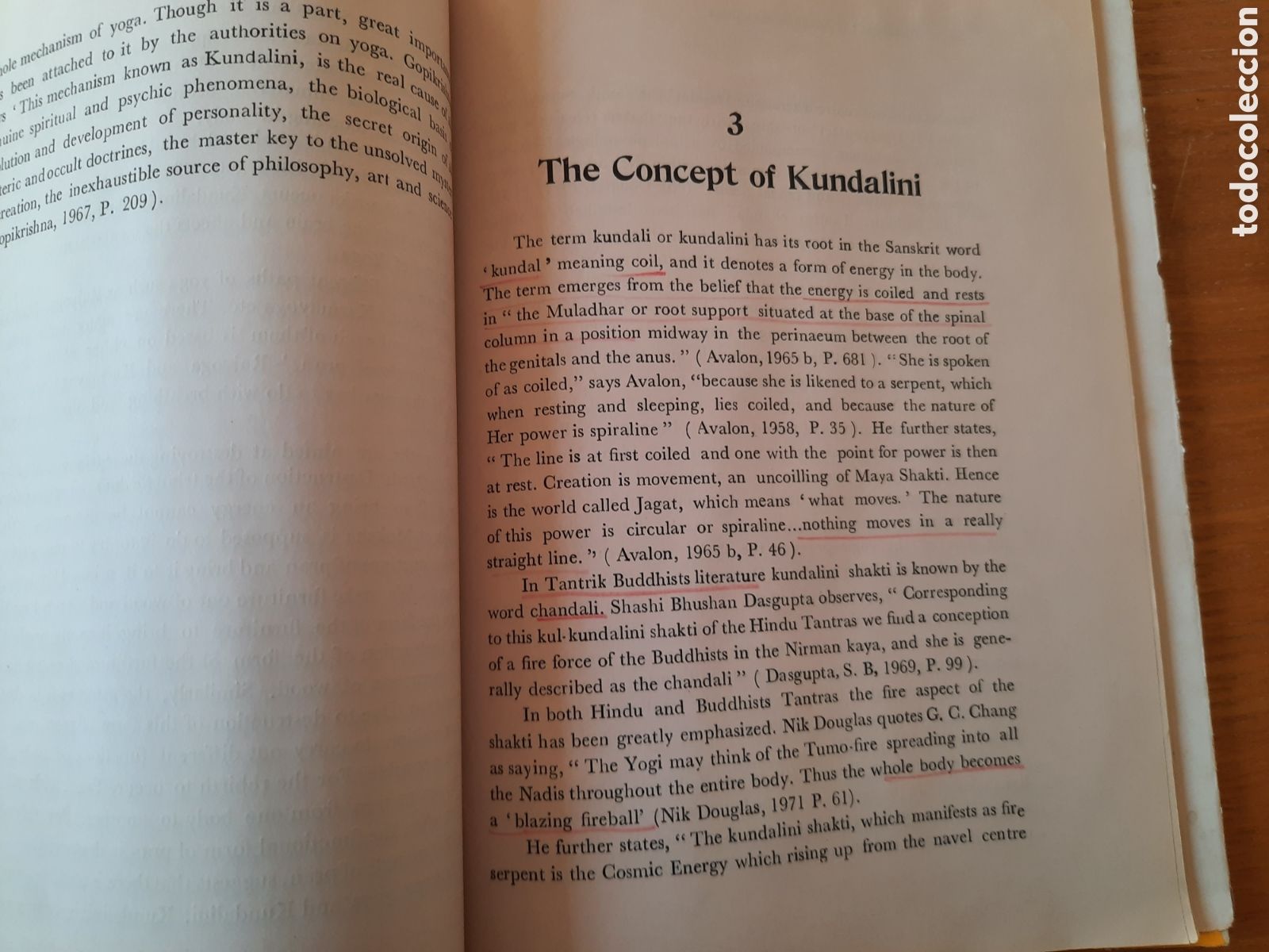 Libros de segunda mano: Kundalini. A scientific exposition. Avinash S. Chaphekar. 1980 - Foto 4