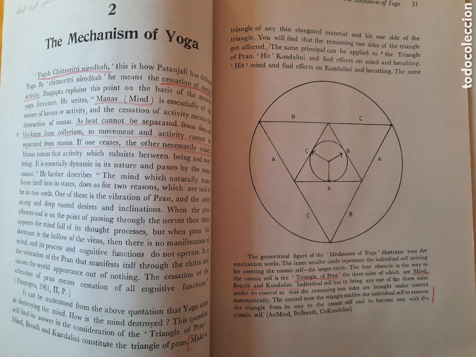 Libros de segunda mano: Kundalini. A scientific exposition. Avinash S. Chaphekar. 1980 - Foto 5