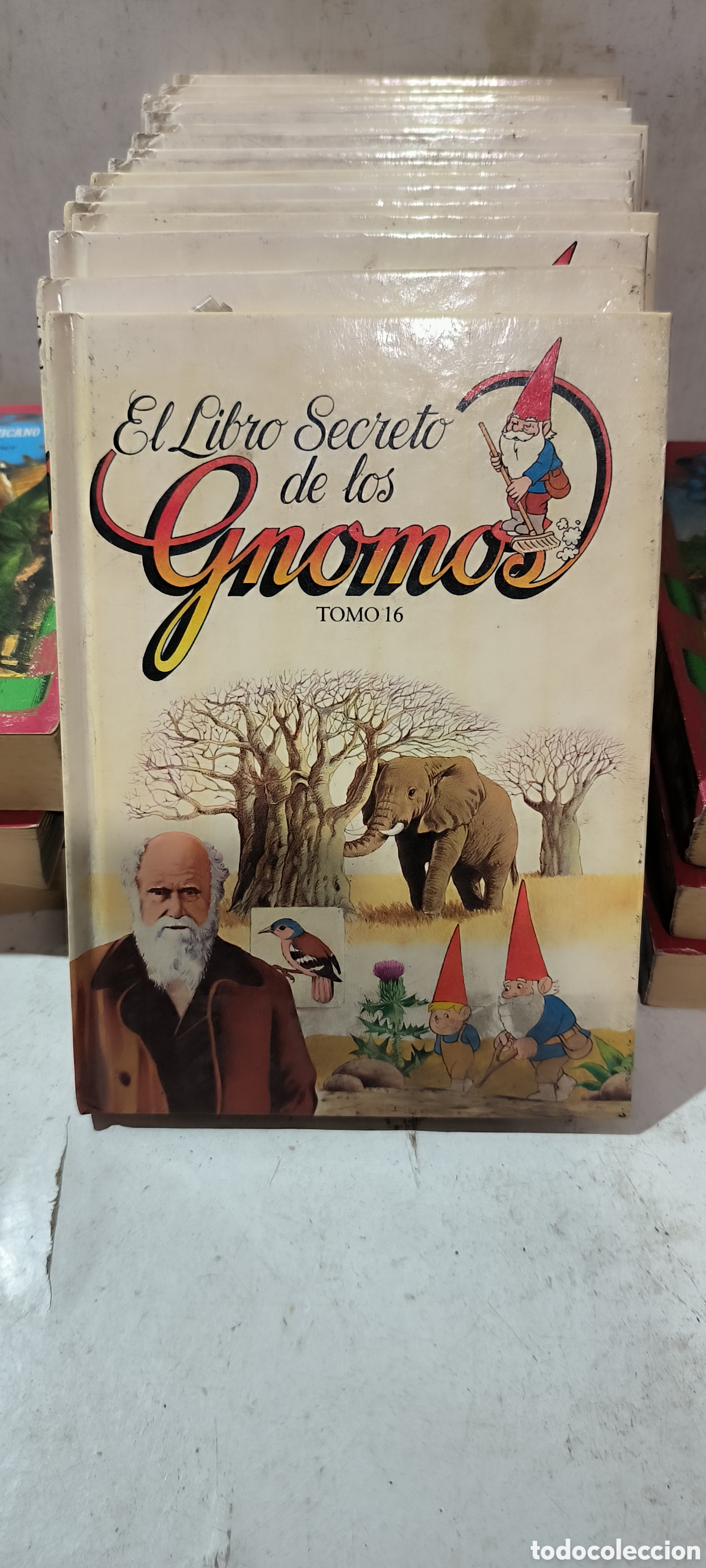 Libros de segunda mano: EL LIBRO SECRETO DE LOS GNOMOS, 16 TOMOS EN BUEN ESTADO - Foto 2