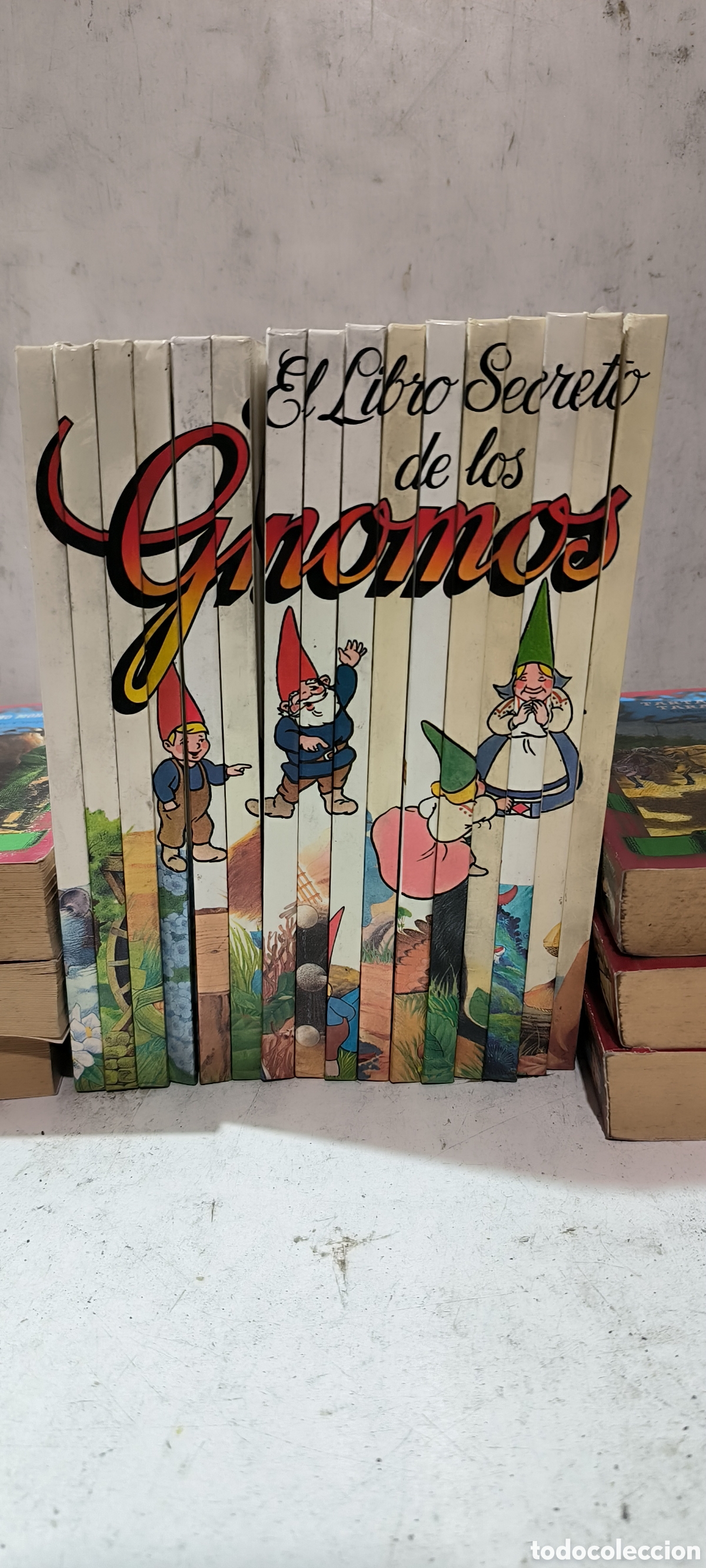 Libros de segunda mano: EL LIBRO SECRETO DE LOS GNOMOS, 16 TOMOS EN BUEN ESTADO - Foto 1