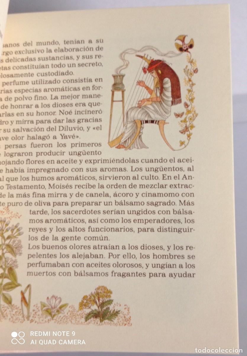 Libros de segunda mano: Libro &rdquo; El Misterio Del Perfume &rdquo; del a&ntilde;o 1984 - Foto 4