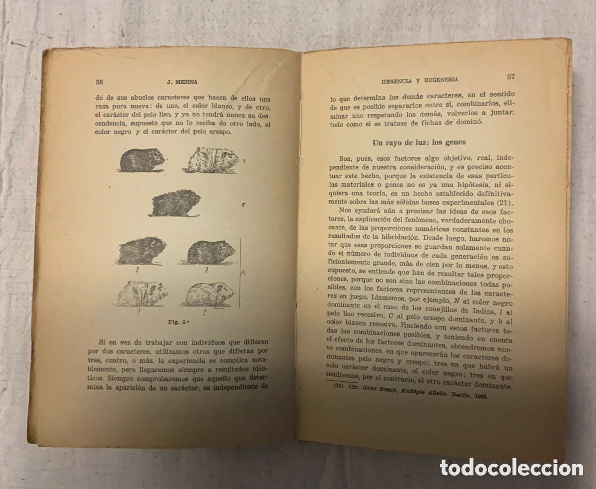 Libros de segunda mano: Herencia y eugenesia. J. Medina - Foto 4