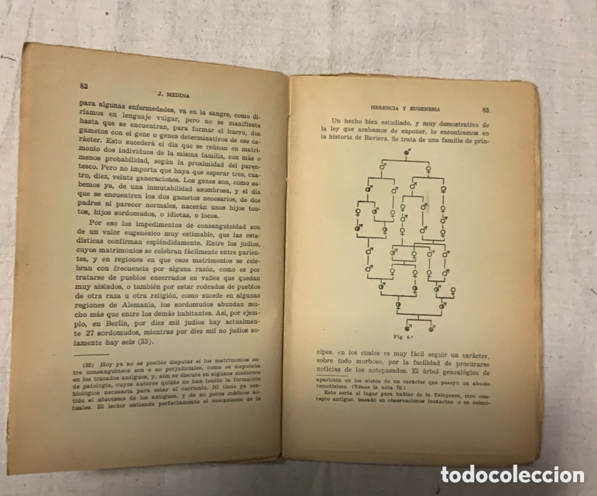 Libros de segunda mano: Herencia y eugenesia. J. Medina - Foto 5