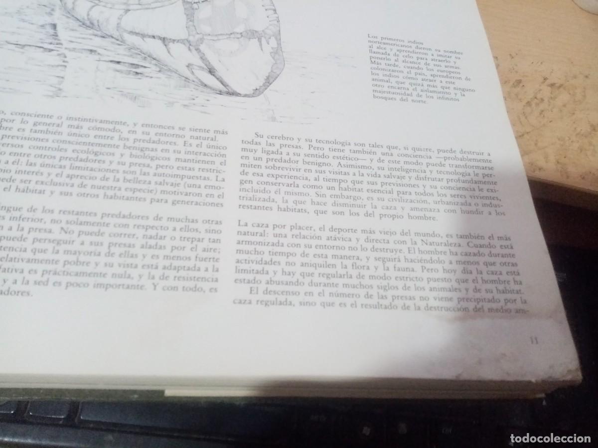Libros de segunda mano: EL GRAN LIBRO DE CAZA EVEREST EST27B4 - Foto 4