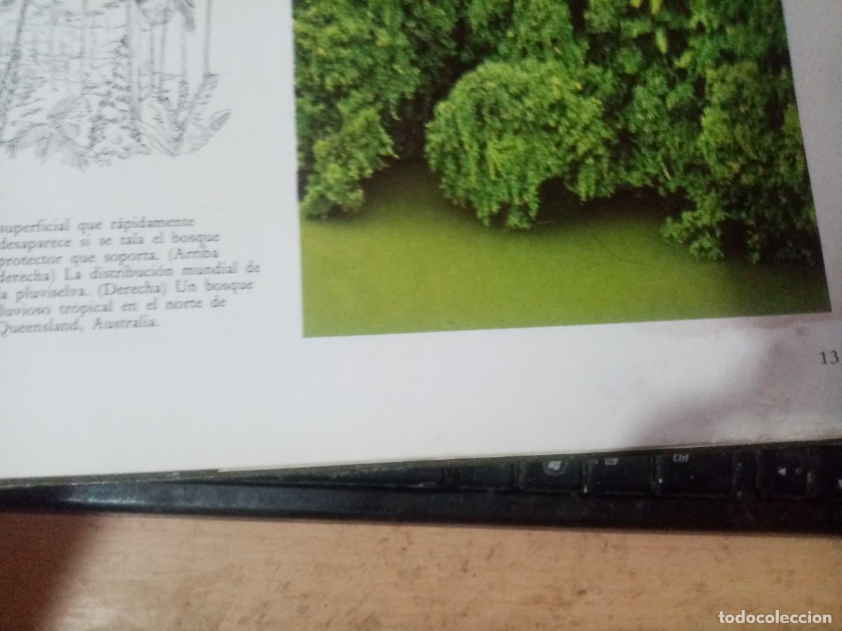 Libros de segunda mano: EL GRAN LIBRO DE CAZA EVEREST EST27B4 - Foto 5