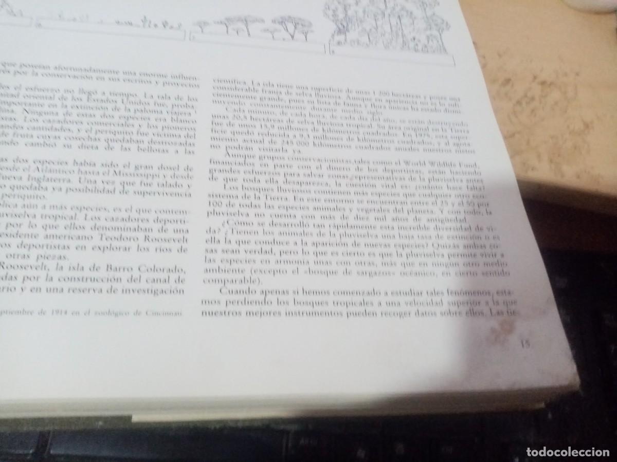 Libros de segunda mano: EL GRAN LIBRO DE CAZA EVEREST EST27B4 - Foto 6
