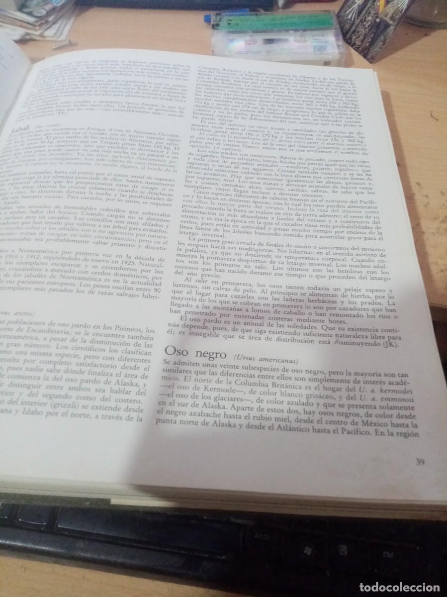 Libros de segunda mano: EL GRAN LIBRO DE CAZA EVEREST EST27B4 - Foto 7