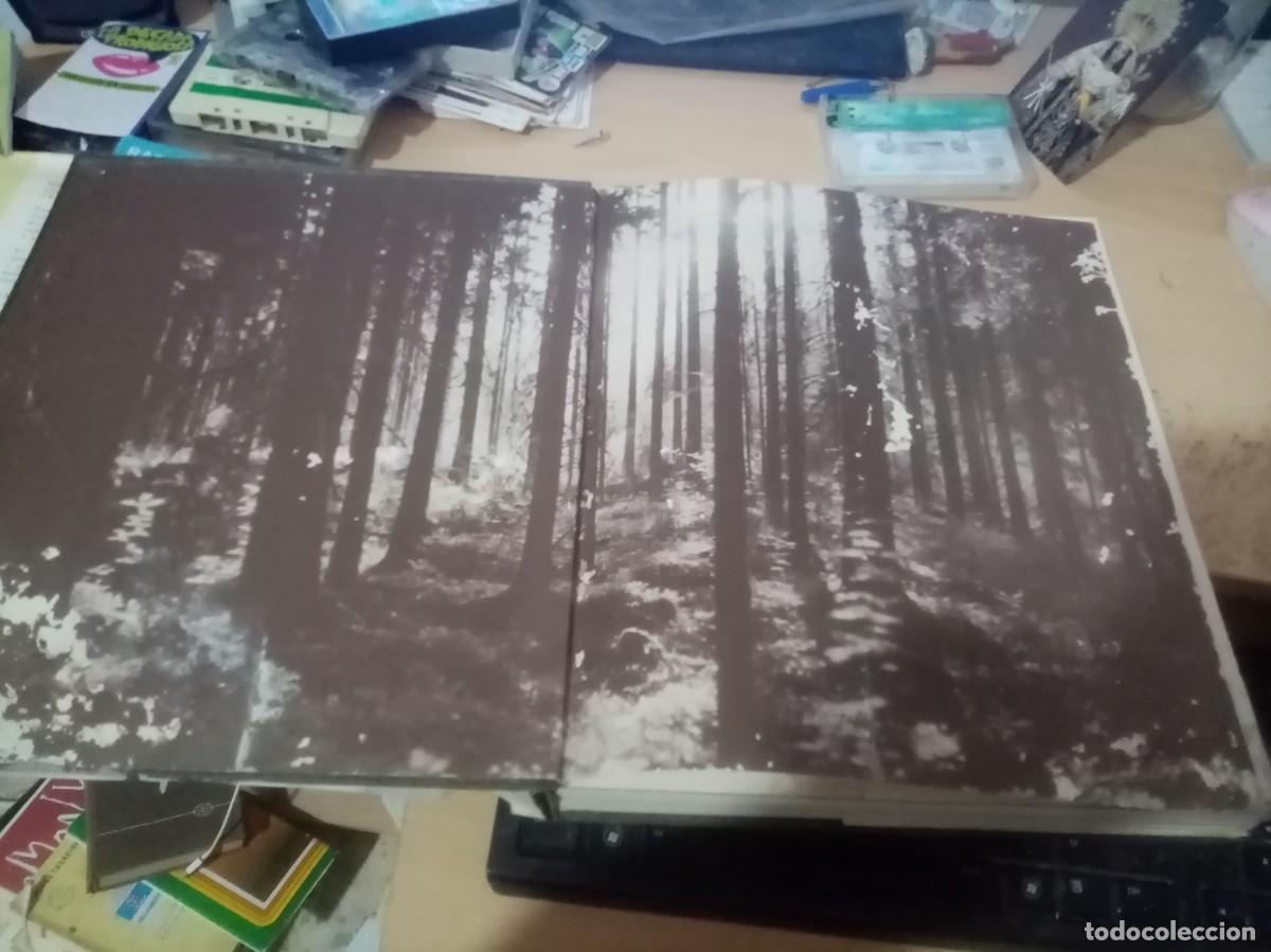 Libros de segunda mano: EL GRAN LIBRO DE CAZA EVEREST EST27B4 - Foto 9