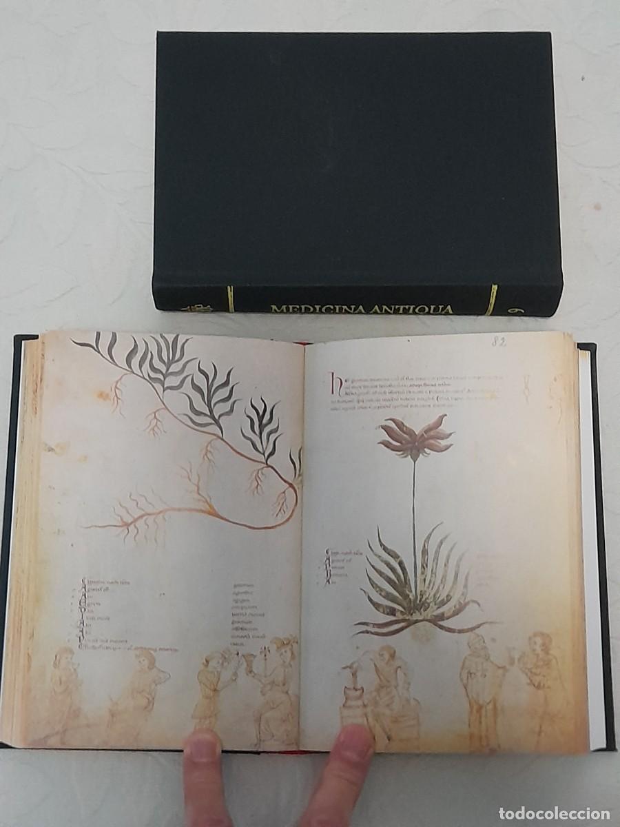 Libros de segunda mano: Facs&iacute;mil c&oacute;dice de medicina medieval - Foto 1