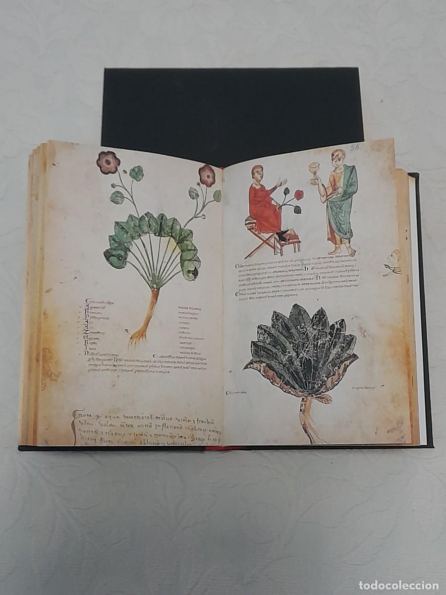 Libros de segunda mano: Facs&iacute;mil c&oacute;dice de medicina medieval - Foto 6