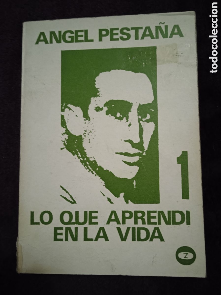 Libros de segunda mano: LO QUE APRENDI EN LA VIDA 1 / ANGEL PESTA&Ntilde;A - Foto 1