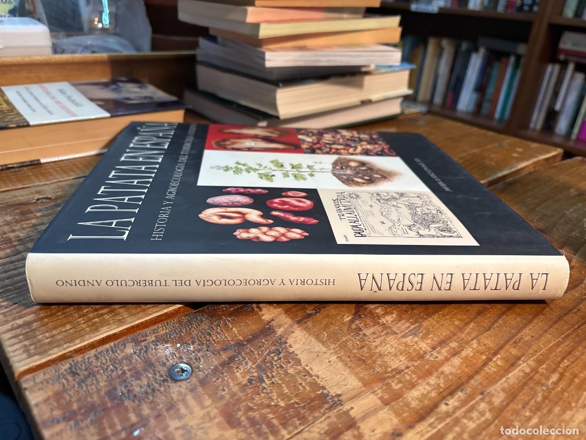 Libros de segunda mano: LA PATATA EN ESPA&Ntilde;A . - Foto 2