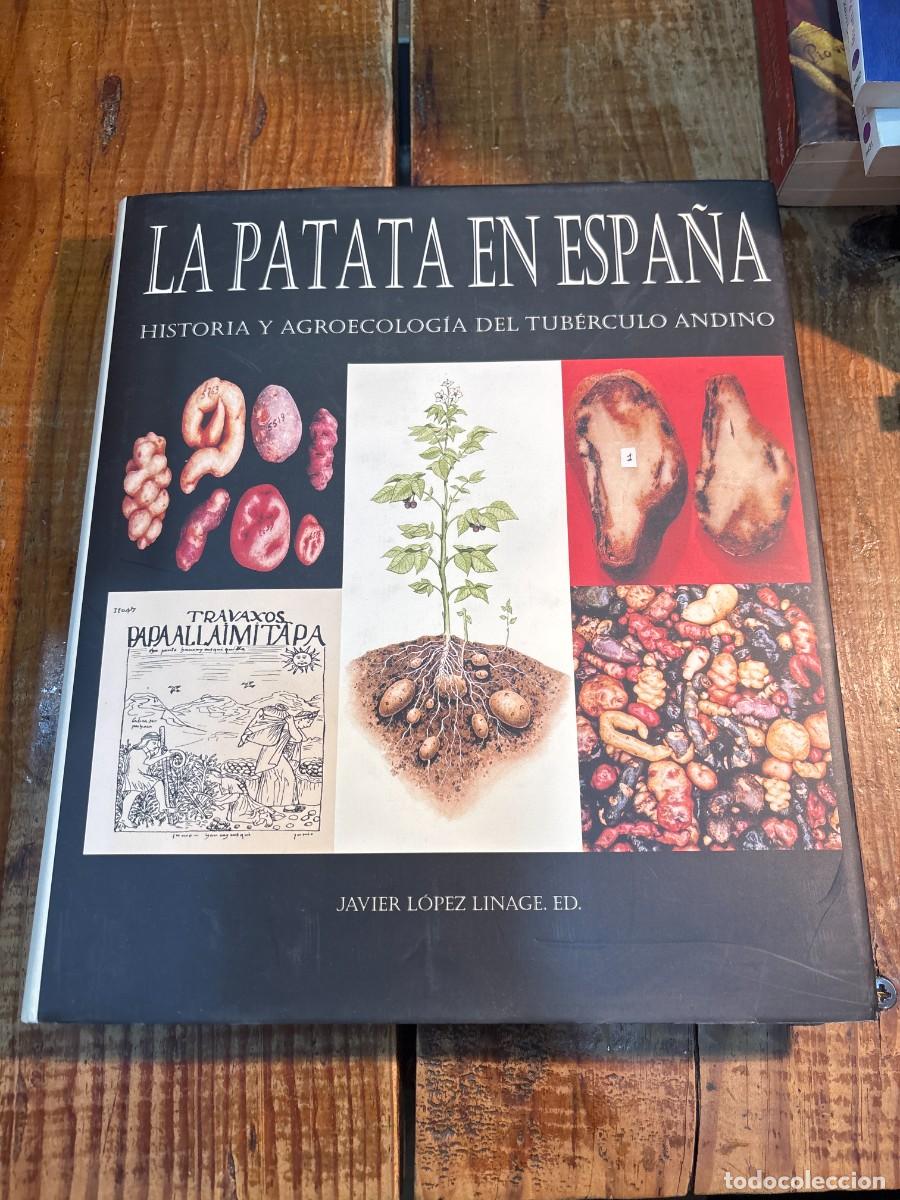 Libros de segunda mano: LA PATATA EN ESPA&Ntilde;A . - Foto 1