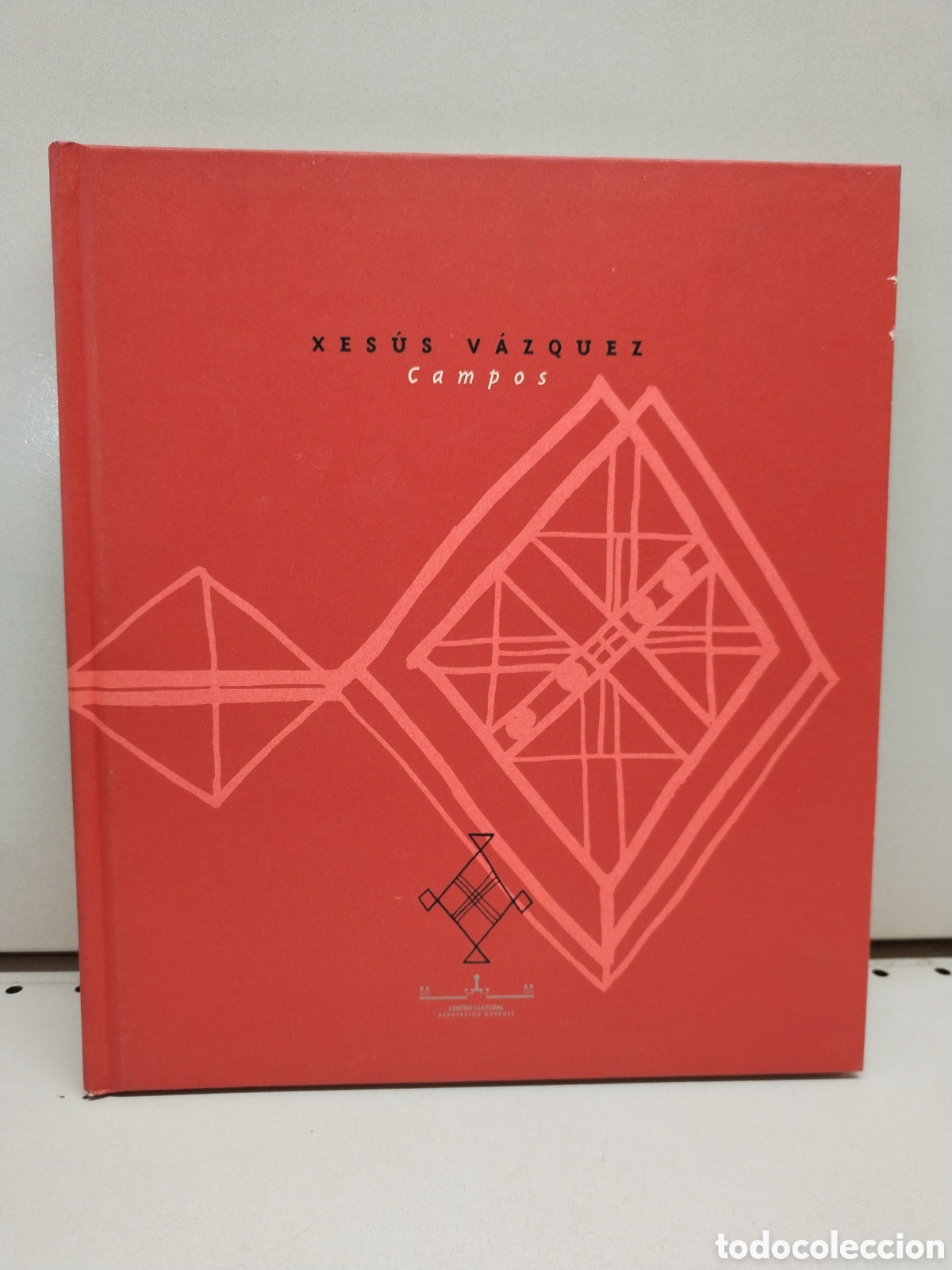 Libros de segunda mano: Xes&uacute;s V&aacute;zquez: campos - V&aacute;zquez, Xes&uacute;s - Foto 1