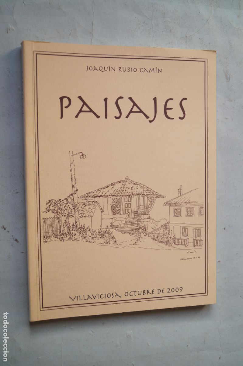Libros de segunda mano: PAISAJES. JOAQUIN RUBIO CAMIN - Foto 1